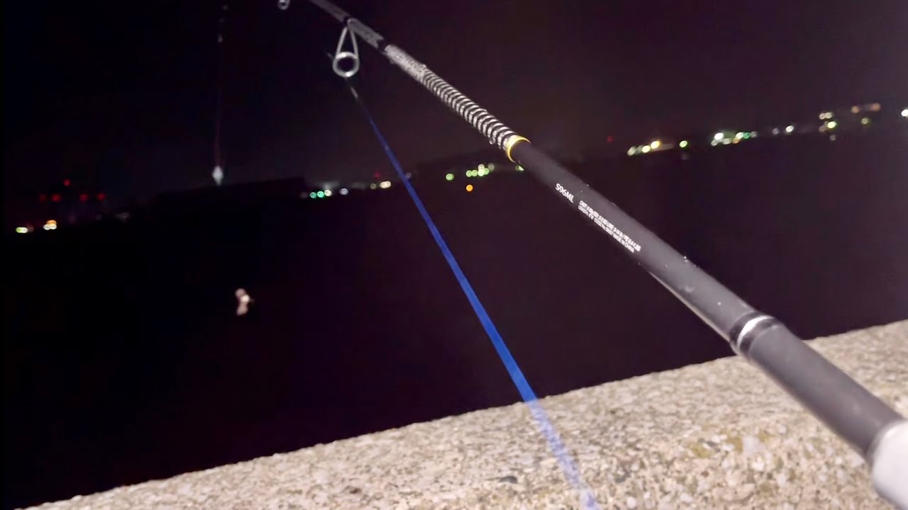 Catch a giant fish in the ocean at night - YouTube