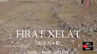 Elif elife