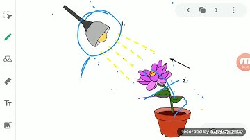 ClassVI Science 25 05 2020 by Ms Mridulata Upadhyay