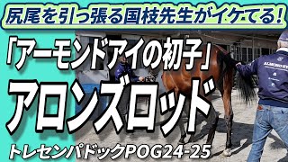 《アーモンドアイ22・アロンズロッド》国枝厩舎入厩！尾を引っ張る先生がイケてる！【2024年2歳新馬】　トレセンパドックPOG24-25