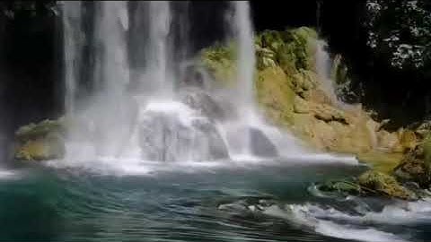 سورة يس من الآية 55 حتى آخر السورة
