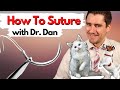 How a veterinarian sutures a dog or cat  dr dan explains sutures