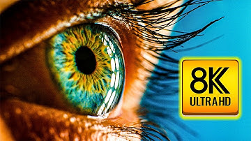 Everyday Objects in Macro in 8K ULTRA HD / 8K TV