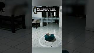 Skin walker Dog 💀 #horrorstories #aatma #horror #horrorshorts