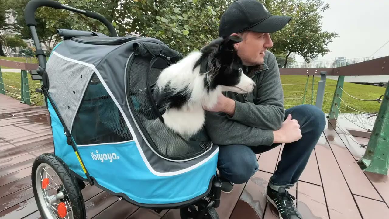 коляска для собак FS2080 BR