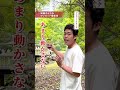 『保存版』映画のような1カットの撮り方を伝授！