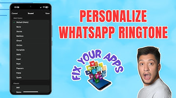 How to Set a Custom Ringtone for Someone on WhatsApp for iPhone - Quick Tutorial