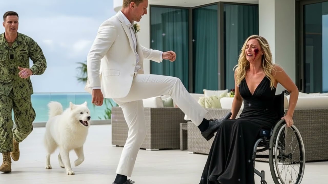 Navy SEAL and His K9 Save Bride in Wheelchair From Her Violent Fiancé