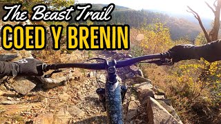 The Beast Trail at Coed Y Brenin