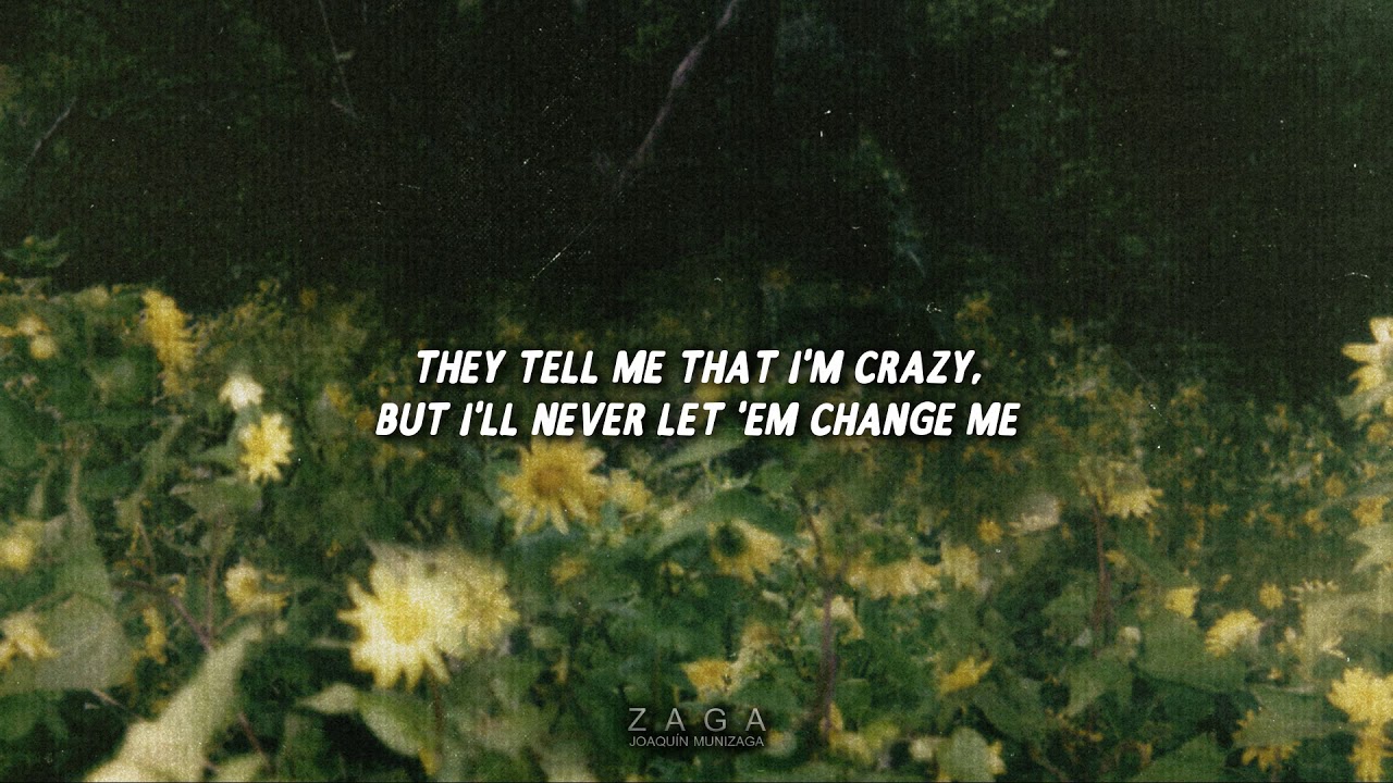 Katy Perry Daisies (Lyrics) YouTube