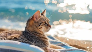 24/7 of Calming Music for Anxious Cats - เพลงแมวเพื่อการผ่อนคลายอย่างล้ำลึกและการนอนหลับ ดนตรีสำห...
