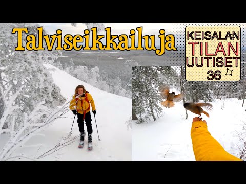 Video: Mikä on ajokokeen läpäisevä piste New Yorkissa?