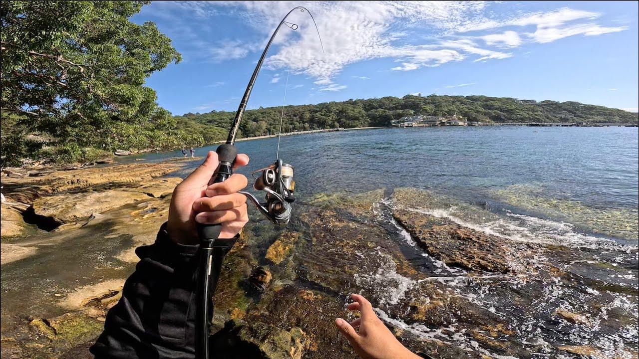 Мы перепробовали все методы ловли пелагических рыб… и это действительно сработало — Sydney Fishin...