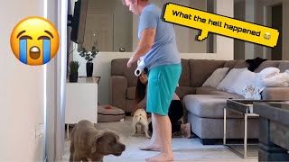 Our Dog Got Attacked Savage Prank