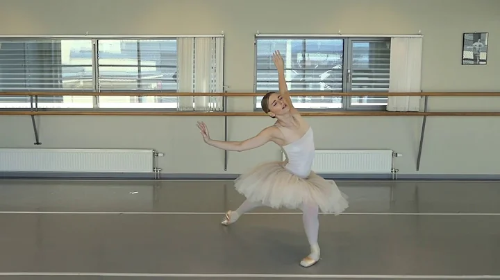 Swans For Relief - Whitney Jensen - The Norwegian ...