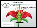 தரம்  5 - சுற்றாடலுடன் தொடர்புடைய விடயங்களும். சார்க் நாடுகளின் தலைமை நகரங்களும் - காணொளி