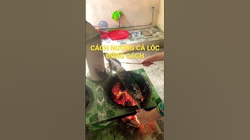 Hướng dẫn nướng cá lóc đúng cách, thịt ngọt không tanh