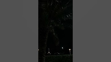استمع إلى القرآن الكريم ثواني من وقتك