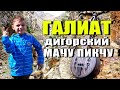 ГАЛИАТ -Дигорский МАЧУ-ПИКЧУ