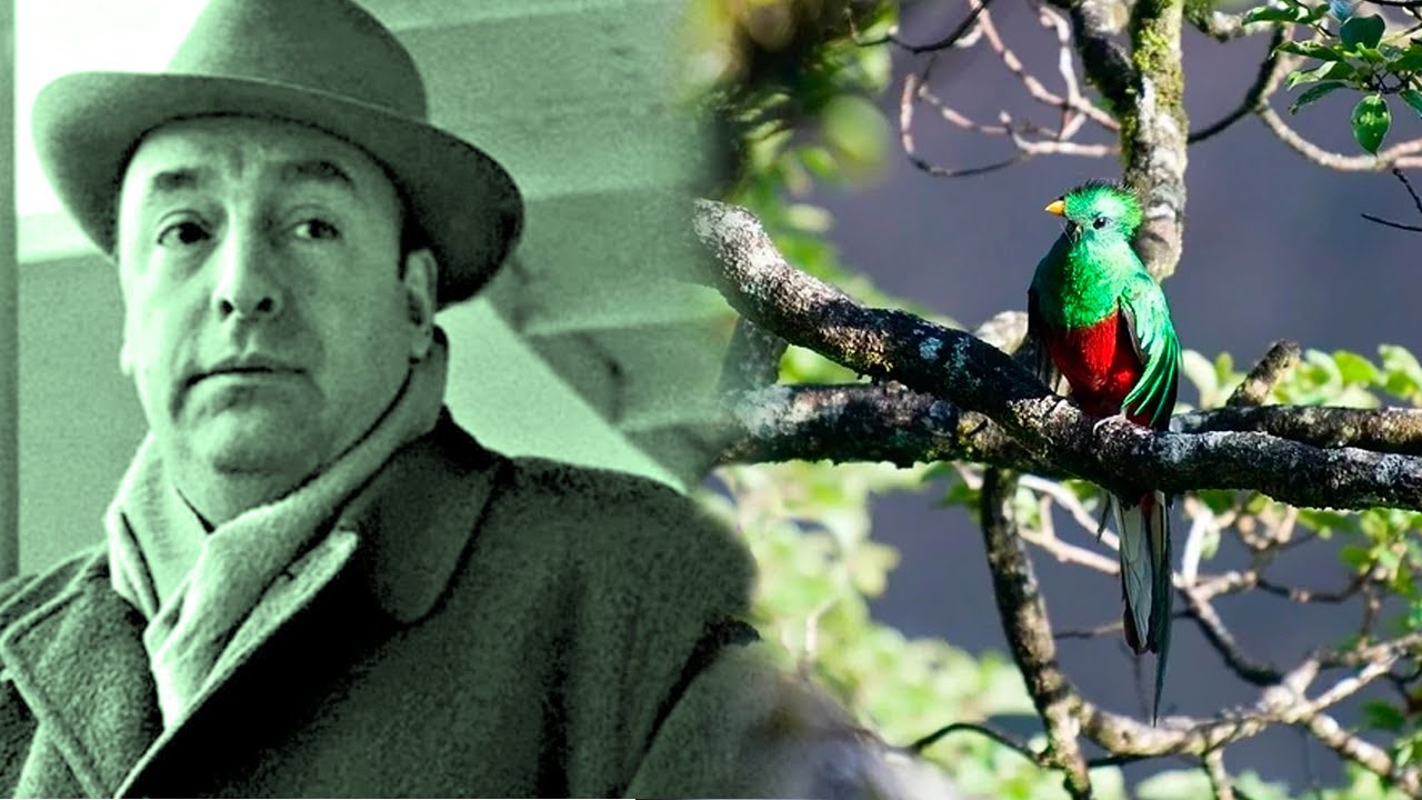 Pablo Neruda | LAS AVES DEL CARIBE