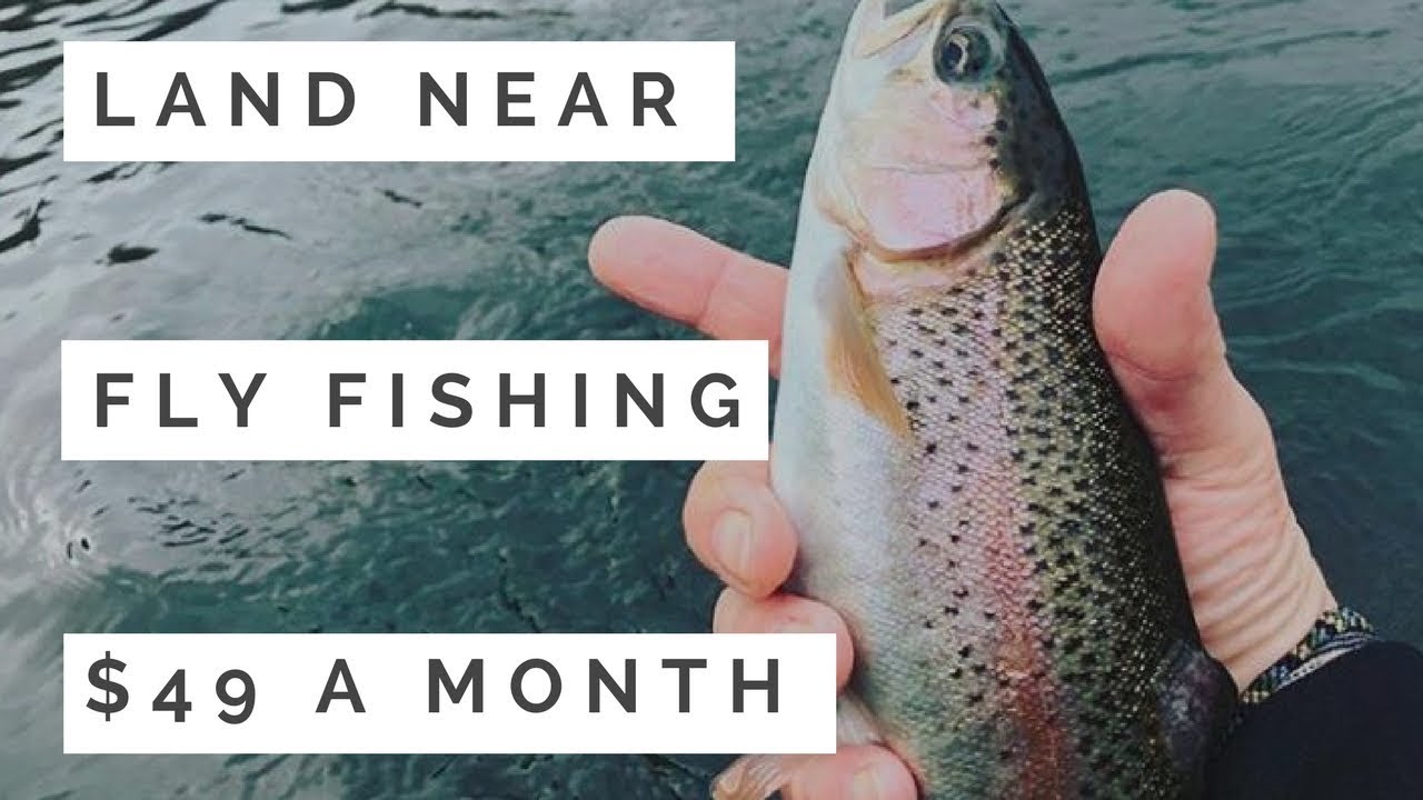 SOLD Land for Sale 49 a Month, fly fishing YouTube
