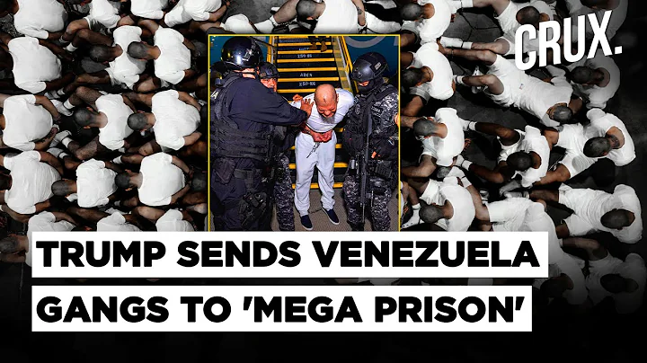 US Deports Hundreds Of Members Of Venezuela Gang Tren de Aragua To El Salvador Despite Judge Ruling