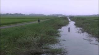 Lily Chou-Chou - 飽和