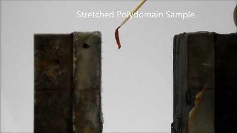 Magnetic liquid crystal elastomer