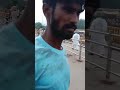 ganga kinare nariyal nikalne wala #viral #ganga #all #haridwar #youtubeshorts #nariyal