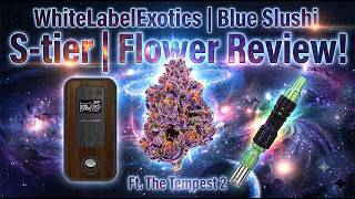 WhiteLabelExotics | Blue Slushi S-tier | Flower Review! 