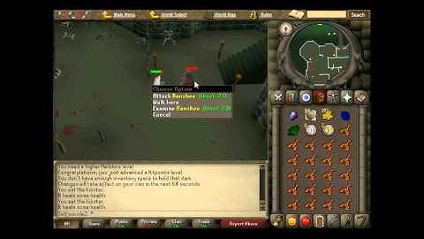 Runescape Slayer Log #1