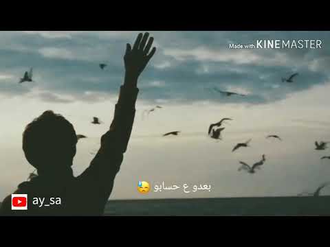 اغنية قلبي ع غيابو