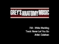 Grey's Anatomy 720 - Calahan - 