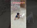 15 दिन वाला जीता है या 3 साल वाला|#shortsfeed #villagemasti #funny #desicomedy 🤪😝😂🤣