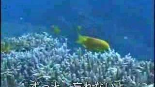 海で会えるよ