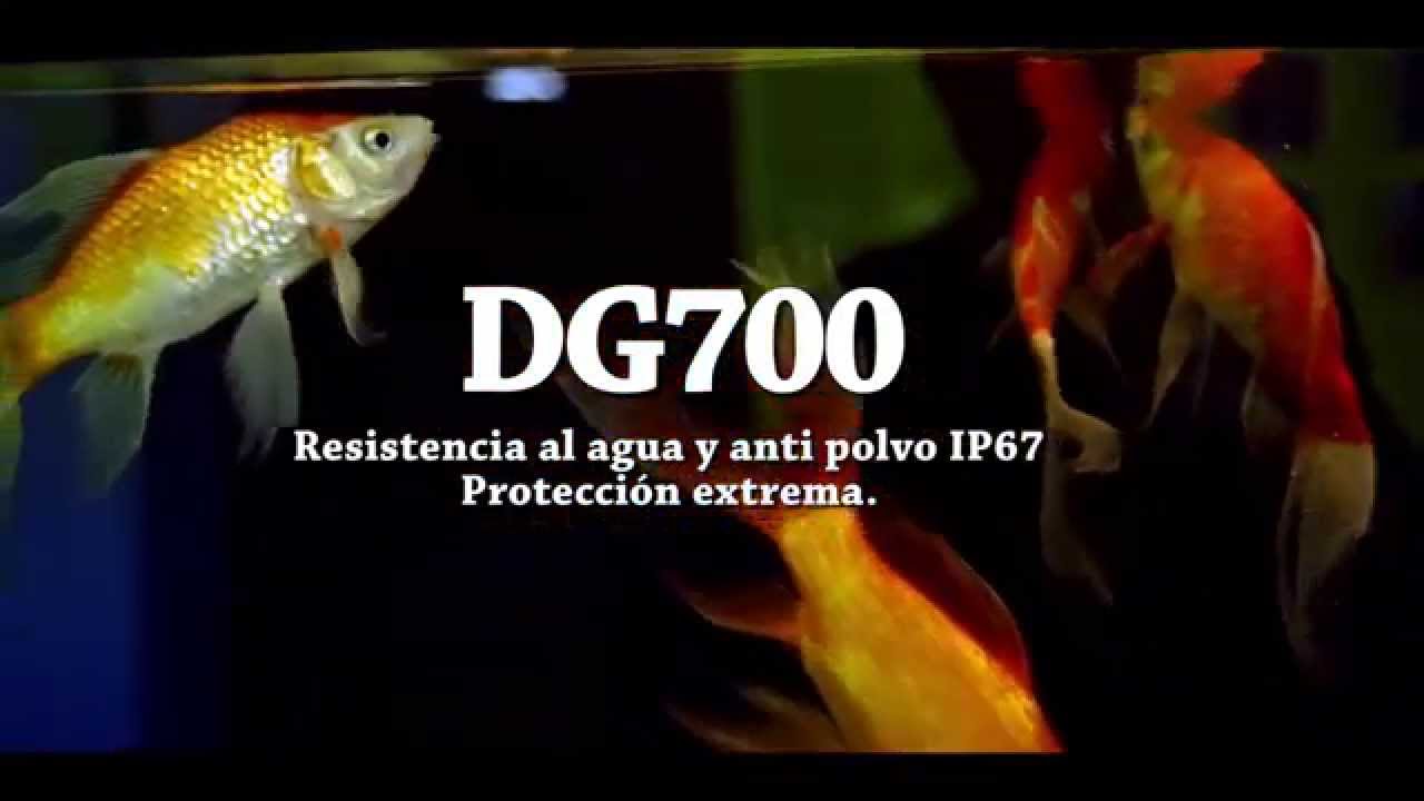 Doogee Titans2 DG700（Resistencia al agua y anti polvo ）
