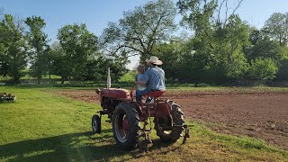 Farmall Cub Cultivating Corn