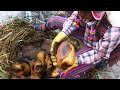 PACHAMANCA DE CALABAZA /COMIDA NATIVA DE LA SIERRA - cholo aquíles