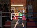Trainiere wie ein Profi #boxing #mma  #shorts