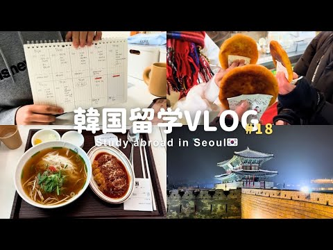 【韓国留学Vlog】5級最後のテスト期間VLOG 前編🇰🇷📚 今回も地獄のテスト期間でした😫😨