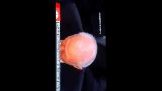 Matt Bonner And Guy In Stands Lol