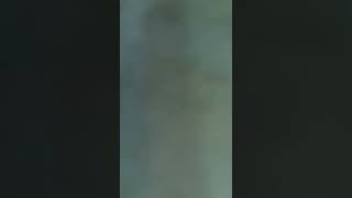 Guys Order Na Mv Vlog