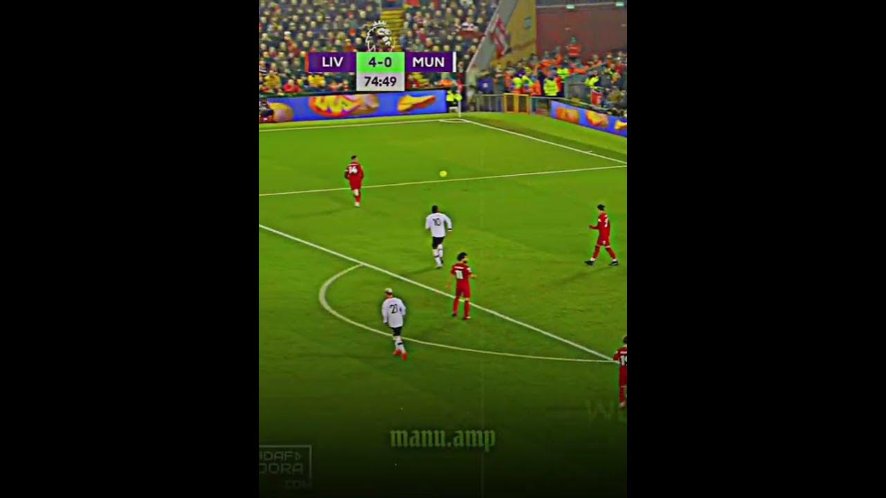 darwizy - YouTube