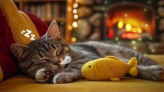 12 Hours Of Calming Music for Cats 🐱 Soothing Sounds for Sleep 🎹 Kitten Sleep Music