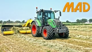 Fendt 313 Vario S4 con ranghinatore Roc RT 870 | falciacondizionatrice Gemelli 330 FPC