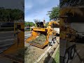 Meta AI Glasses POV | Tree Removal in Winter Springs