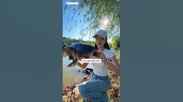 cô cần thủ đi câu gặp anh cần thủ dại gái chả phí câu cho cô câu nêu được cá thì chia đôi  #fishing