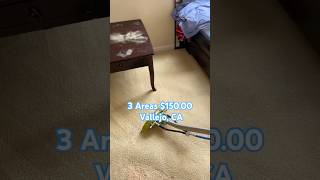 Randy’s Janitorial Deep Carpet Cleaning 🧼 510-287-6223
