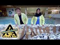 Tinfoil Boat Experiment Quiz