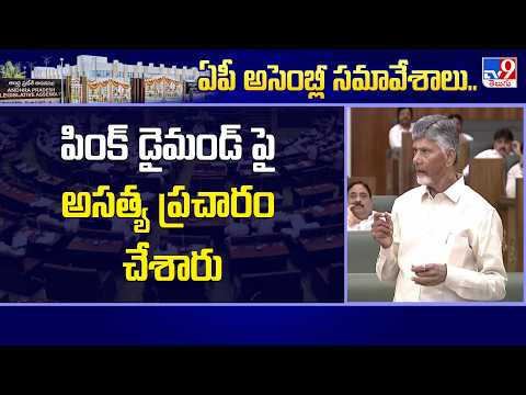 CM Chandrababu Naidu Slams YCP : పింక్ డైమండ్ పై అసత్య ప్రచారం చేశారు - TV9 - TV9